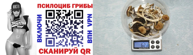 Псилоцибиновые грибы мухоморы  гидра маркетплейс  Очёр 